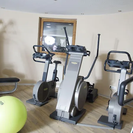 Rose 4* Майрхофен